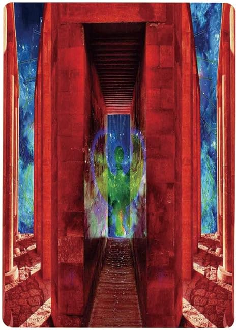 Amazon 壁紙 絵画風ポスター エジプトの装飾 フェニックスギリシャ神話の生き物鳥の階段デジタル画像 オレンジブルーの建物30x40cm 景色 森林と小道 森林浴 新緑 散歩道 目の保養 癒し 気分転換 建築用壁紙 耐候性塗料 ウォールステッカー オンライン通販