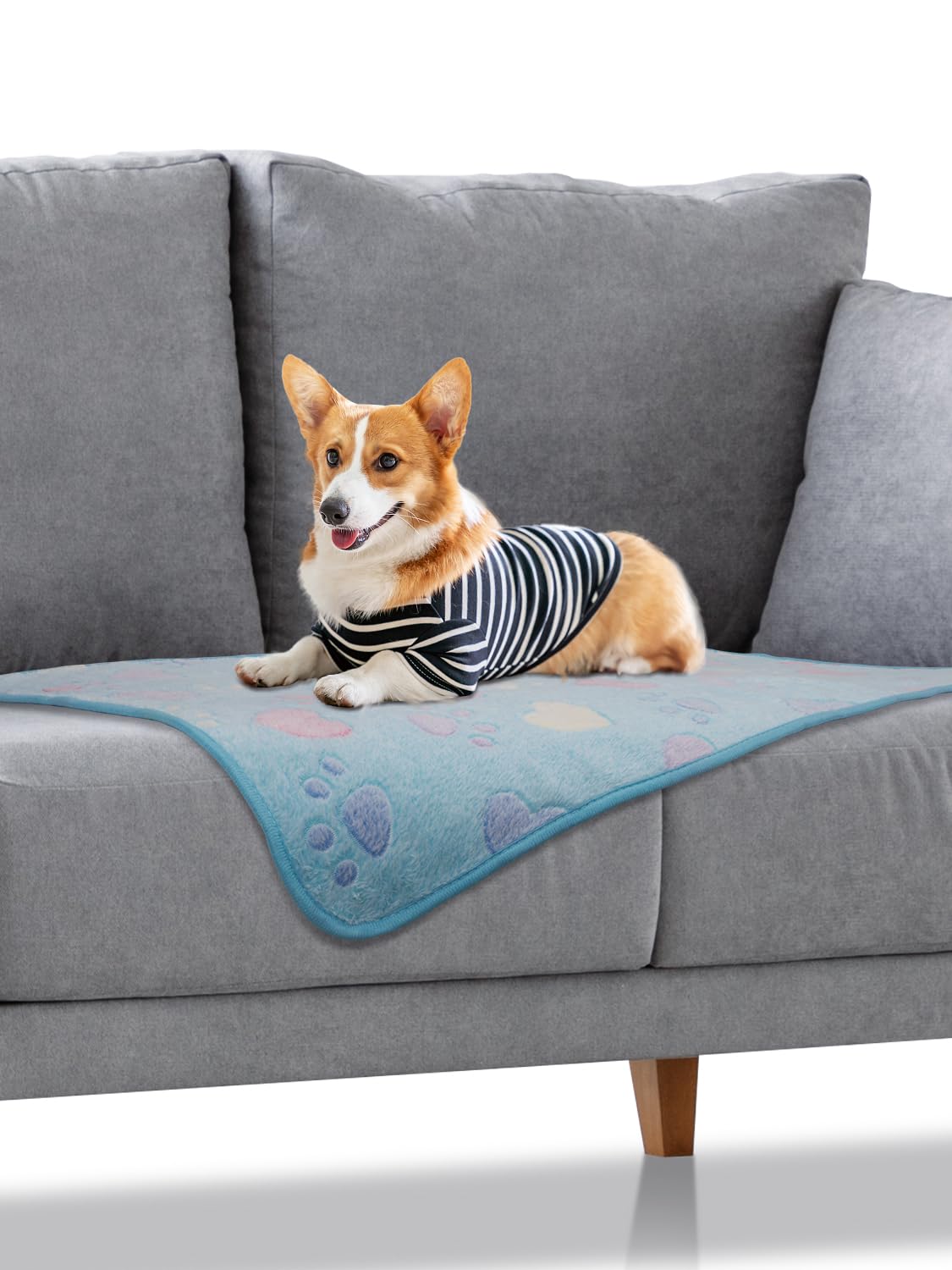 BALBJFR 3 Pack Dog Blankets Washable, Soft and Warm Fleece Pet blanket for Dogs & Cats, Protects Beds, Car Cushions and Sofas. (Blue, M)