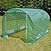 Strong Camel Portable Greenhouse Large Walk in Green Garden Hot House Outdoor Plant Tunnel Tent (10' X7'X6')