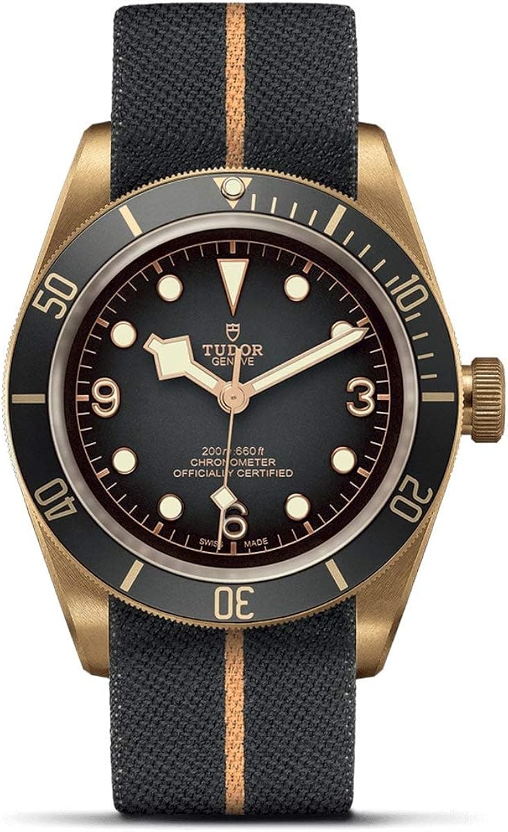 tudor black bay diver