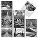 The Best Card Company - Box of 10 All Occasion Cards Blank (4 x 5.12 Inch) - Scenic Landscape Cards Assorted - Tree Lines M3313-NB