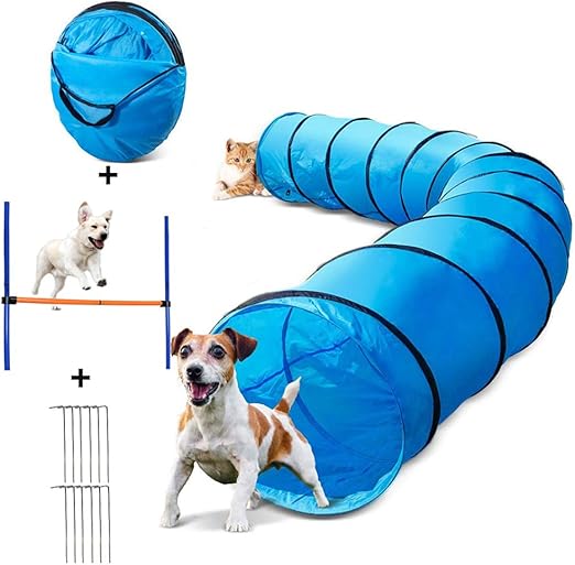 dog training supplies obedience