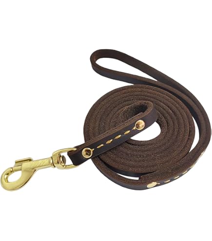 Slip Leash OOPSDOGGY Reflective Rolled Leather Dog Collar For