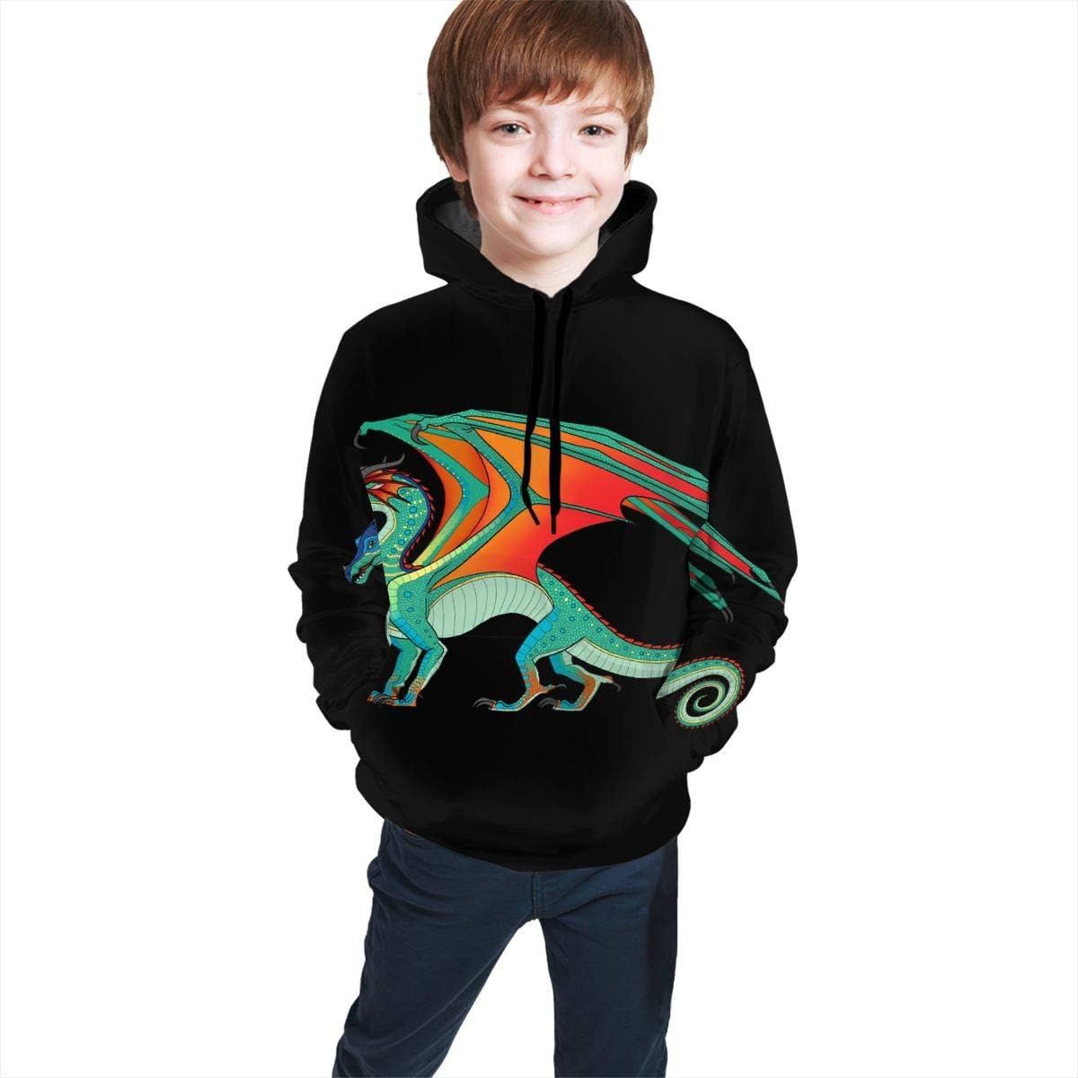 boys dragon hoodie