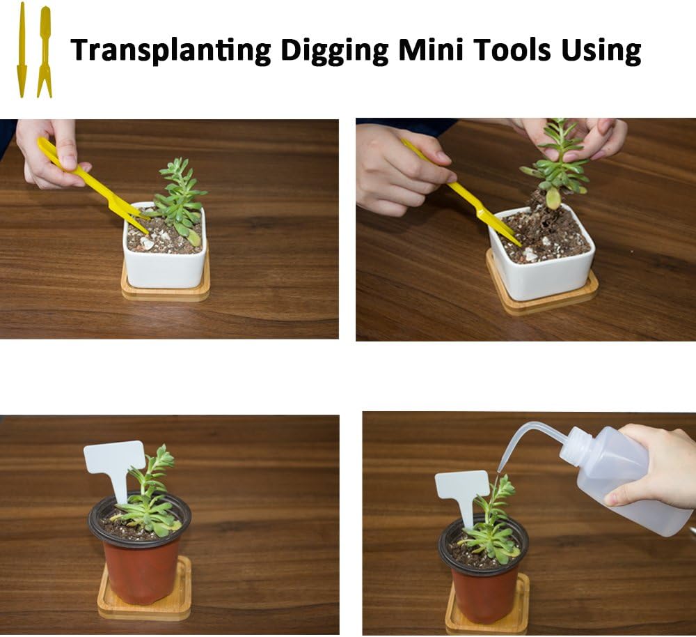 Huvai 80 Pcs 6" Plastic Seedlings Plants Nursery Pots with 80 Pcs Waterproof Plastic T-Type Plant Tags and 2Pcs/Set Transplanting Digging Mini Tools: Garden & Outdoor