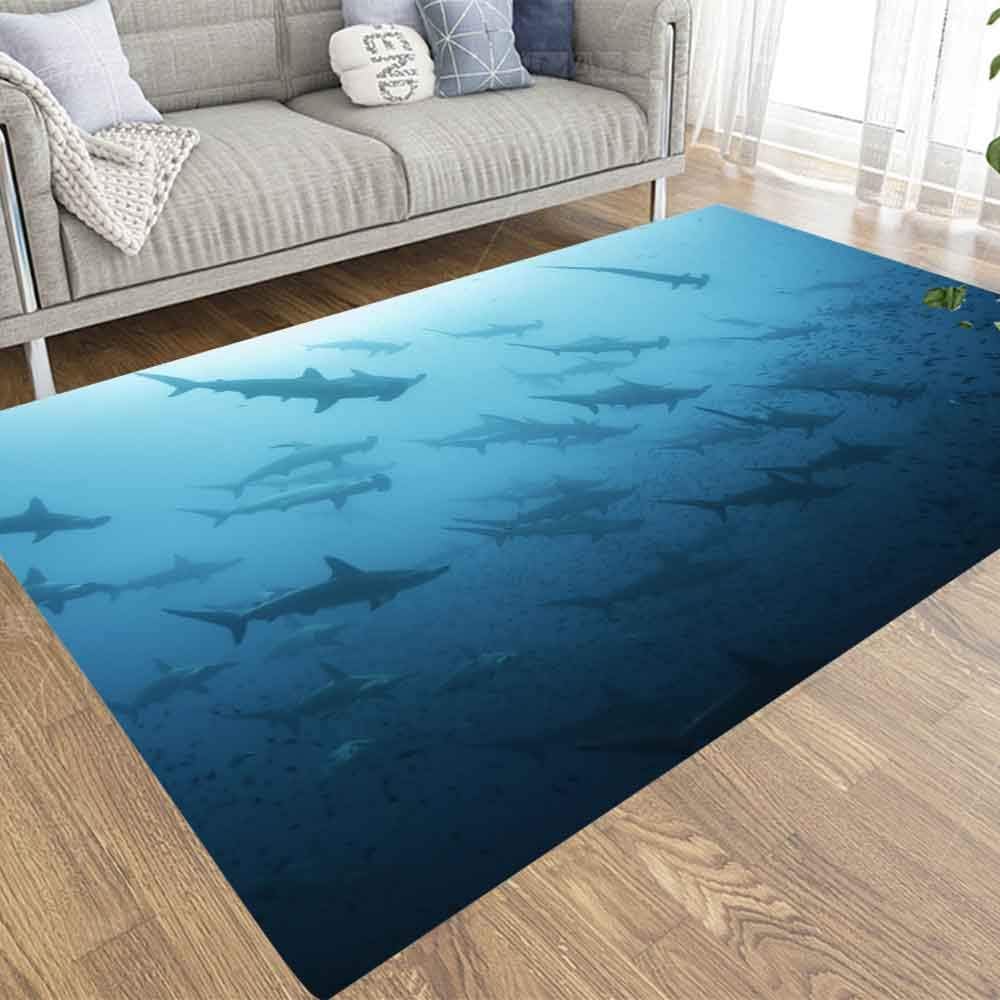 Colorful Area Rugs,Doocilsh 2X3 Area Rug of Indoor Outdoor Kids,Boys,Girls Area Rugs Use Underwater View Scalloped Sharks Swimming in The Waters Off Island Islands Darwin Galapagos Ecuador