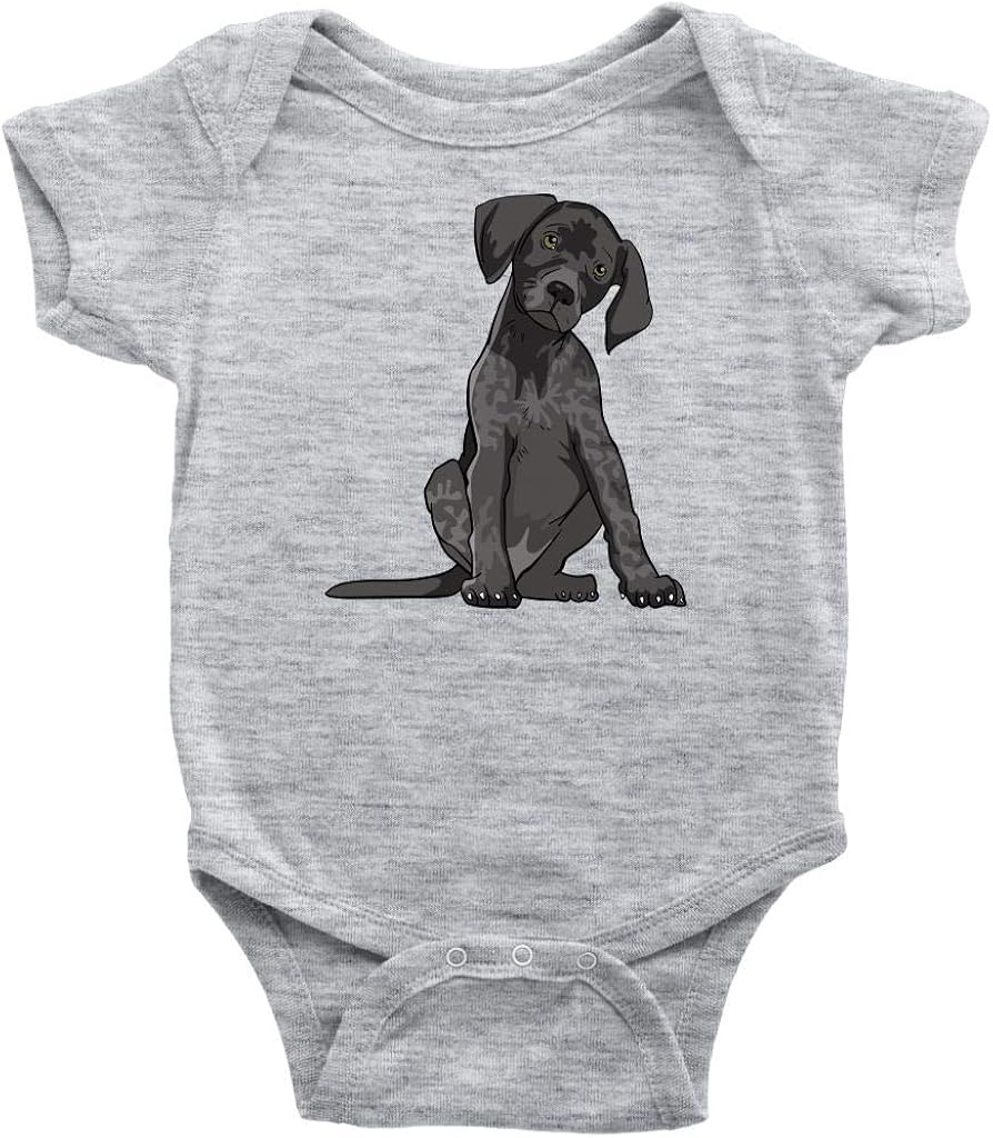 baby pointer dog