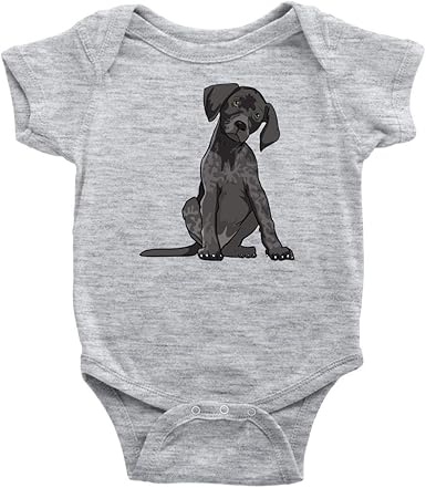 baby german shorthaired pointer