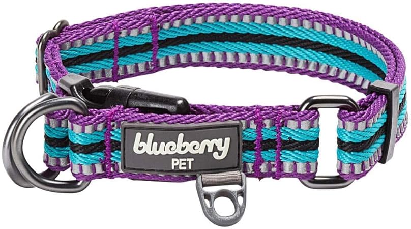 blueberry pet collars amazon