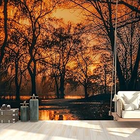 Wall Mural Forest Removable Wallpaper Wall Sticker for Bedroom Living Room - 66x96 inches