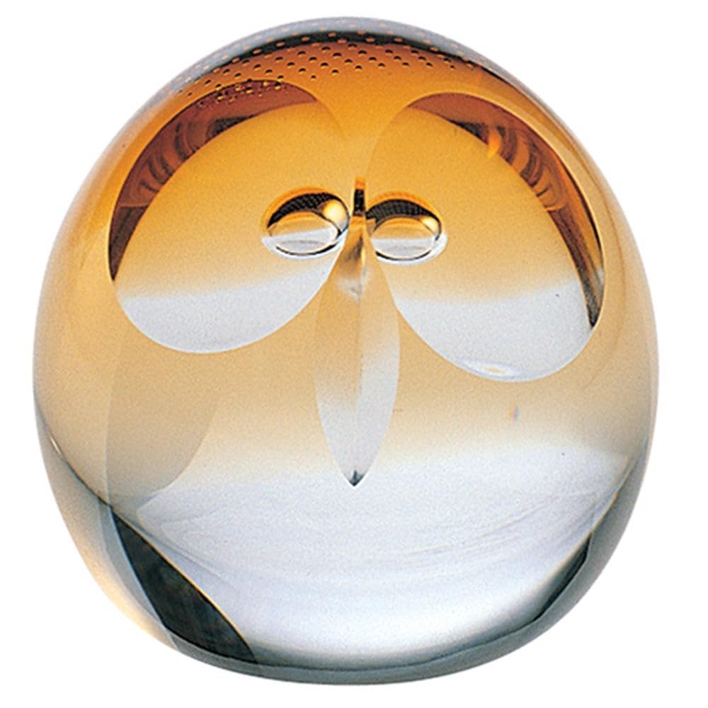 Caithness Glass Piece Crystal Wise Owl Celebrations Paperweight, Medium, Clear/ Gold