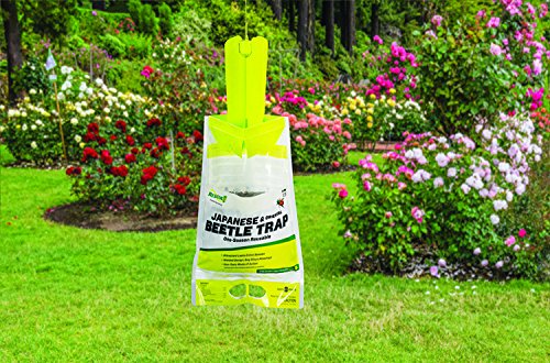 RESCUE! Non-Toxic Disposable Japanese and Oriental Beetle Trap