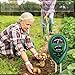 YIDENG Soil Tester Meter, 3-in-1 Soil Test Kit for Moisture/Light/Ph Moisture Meter for Garden Farm Lawn Plant Herbs Indoor Outdoors (No Battery Needed) Plant Care Soil Ph Meter (Round)thumb 2