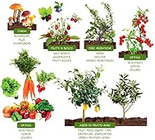 Maceta para huerto urbano sin sistema modular combinable.: Amazon ...