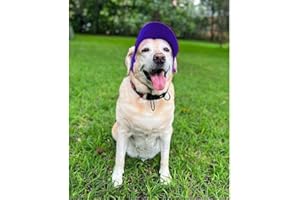 Dog-O-Bow Royal Blue Baseball Cap (Large)