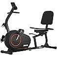 JEEKEE Recumbent Exercise Bike for Seniors,Whisper-Quiet Stationary Bikes for Home, 300LB Weight Capacity & 16 Levels Magnetic Resistance, Heart Rate Handle