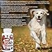 Bark Brothers Hip and Joint Supplement Glucosamine for Dogs, Eases Joint Inflammation, Supports Better Movement, Can Reduce Joint Pain. Anti-inflammatory. 120 Delicious Poultry Chewables