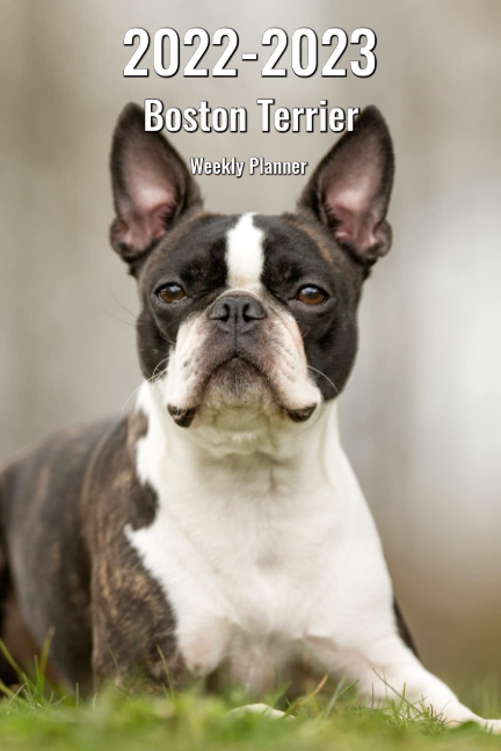 Boston Terrier Calendar 2023 2022-2023 Boston Terrier Weekly Planner: 2-Year Pocket Calendar Pocket  Calendar | 24 Months | 221 Pages 6X9 In. | Diary | Organizer | Agenda |  Appointment | For Dog Lovers: Publications, Cr Media: 9798477012022:  Amazon.com: Books