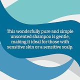 Faith In Nature Fragrance Free Shampoo 5L Refill Vegan Cruelty Free All Hair view 6