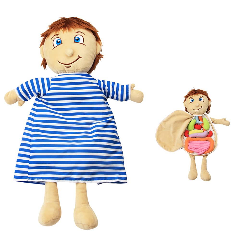 mua-kakiblin-human-body-anatomy-toys-preschool-educational-organs-of