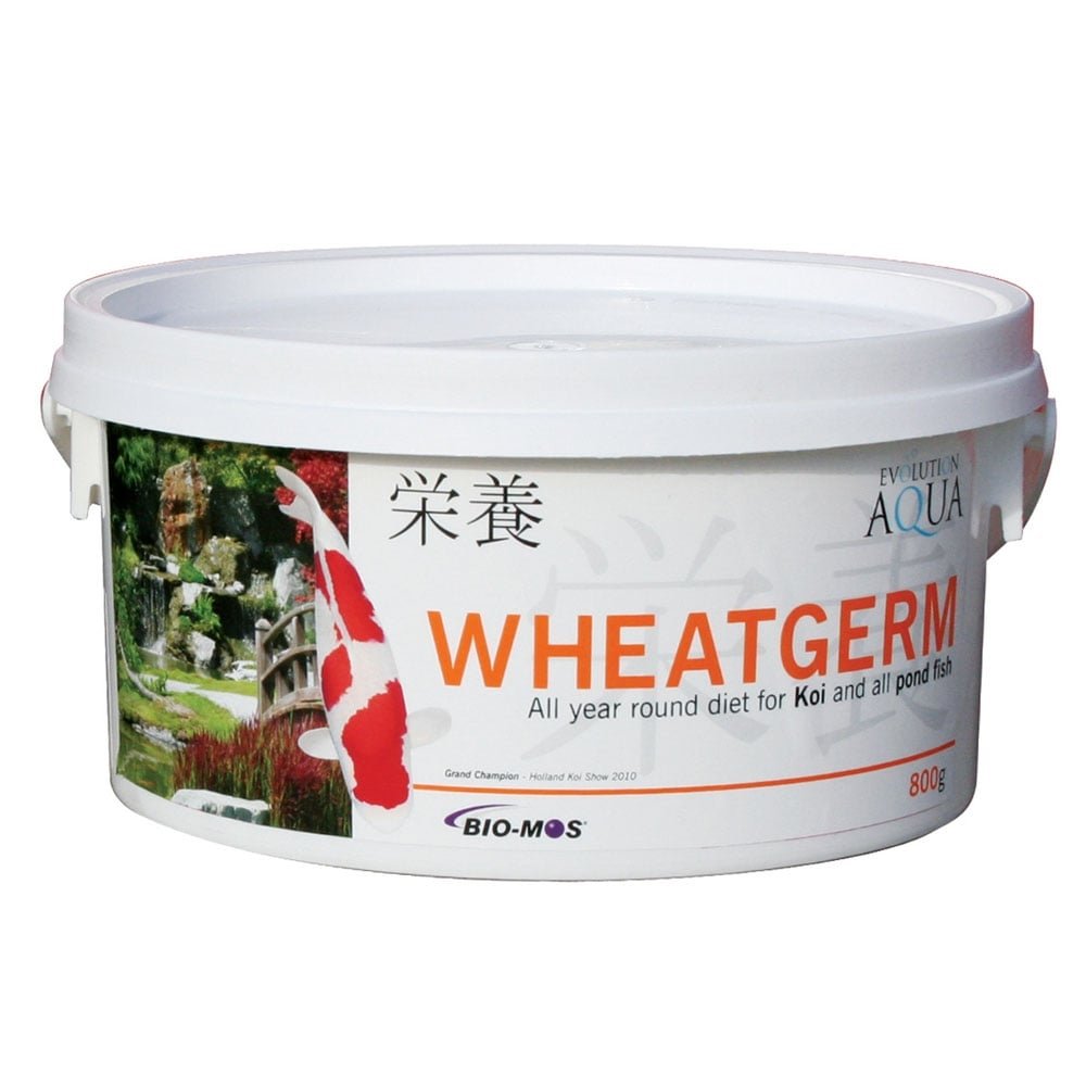 Evolution Aqua Wheatgerm - 800 Gms - Small Pellet - 3-4Mm