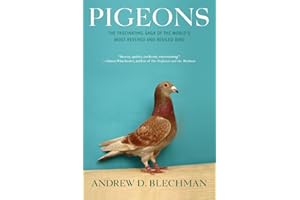 Pigeons: The Fascinating Saga of the World's Most Revered and Reviled Bird