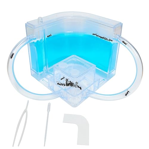 EXBEPE Ant Farm for Kids - Gel Castle Colony Ecosystem Terrarium Kit ...