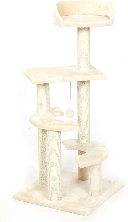 cat climbing tree amazon