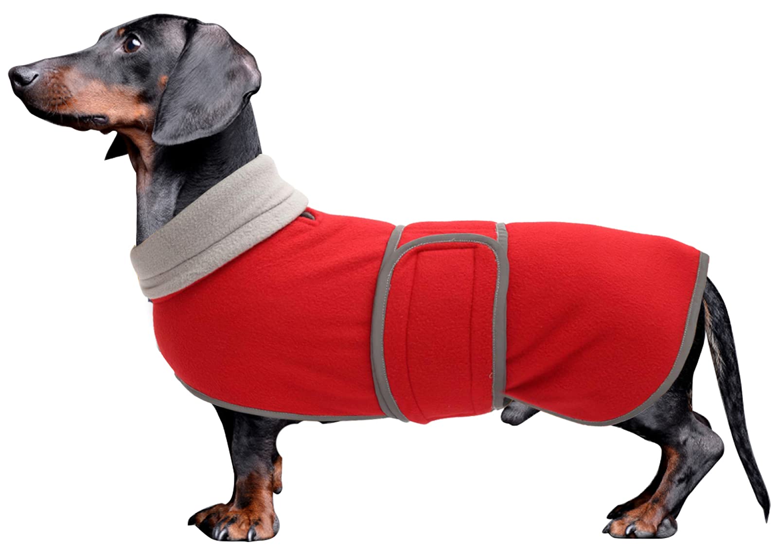 Morezi Dog coats costume, perfect for dachshunds, dog winter coat with padded fleece lining and high collar, dog snowsuit with adjustable bands - Red - M