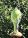 Grateful Gnome - Hummingbird Feeder - Hand Blown Glass - Green with Wildflower Tower - 30 Fluid Ounces Free Bonus Accessories S-Hook, Ant Moat, Brush and Hemp Rope Included