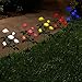 XLUX New Material Outdoor Realistic Solar Powered Rose Lights Flower Stake, for Garden Patio Yard Pathway Decoration, Pink