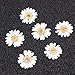 Pomeat 24pcs Daisy Pressed Flower