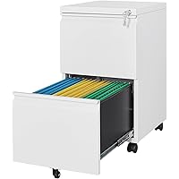 Letaya Mobile File Cabinet with Lock,2 Drawer Under Desk Metal Rolling Filing Cabinets for Home Office Organizer Letters(Requ