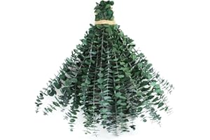 DTXMOH Dried Eucalyptus for Shower, 32pcs Preserved Fresh Eucalyptus Stems Real Shower Plant for Bathroom SPA