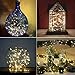 WisHome Waterproof Decorative 100 LEDs 33ft USB Powered Copper Wire Starry Fairy String Lights Led Rope Lights for Bedroom Patio Garden Christmas Outdoor Party Wedding Lamping Warm White