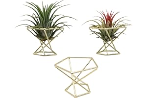 Nwsrayu Geometric Air Plant Holder Airplants Rack Metal Plants Stand Planter Shelves Himmeli Living Decor Tillandsia Pot Containers (Gold 3pcs)