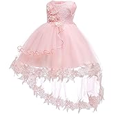 Baby Toddler Lace Dress Girls First Baptism Elegant Embroidery Wedding Party Flower Bridesmaid Dresses Up
