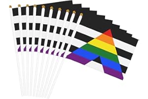 SLNFDKND Lgbtq Gay Straight Ally Pride Small Mini Flags Hand Held Flag Decoration For Party Parades Festival Celebration 10 PC
