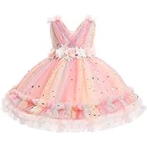Flower Girl Dress for Toddler Baby Girls Flower Tulle Tutu Dress Infant Formal Pageant Princess Party Birthday Dresses