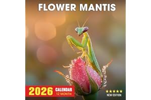 Flower Mantis Calendar 2026: A year of elegant floral-like insects