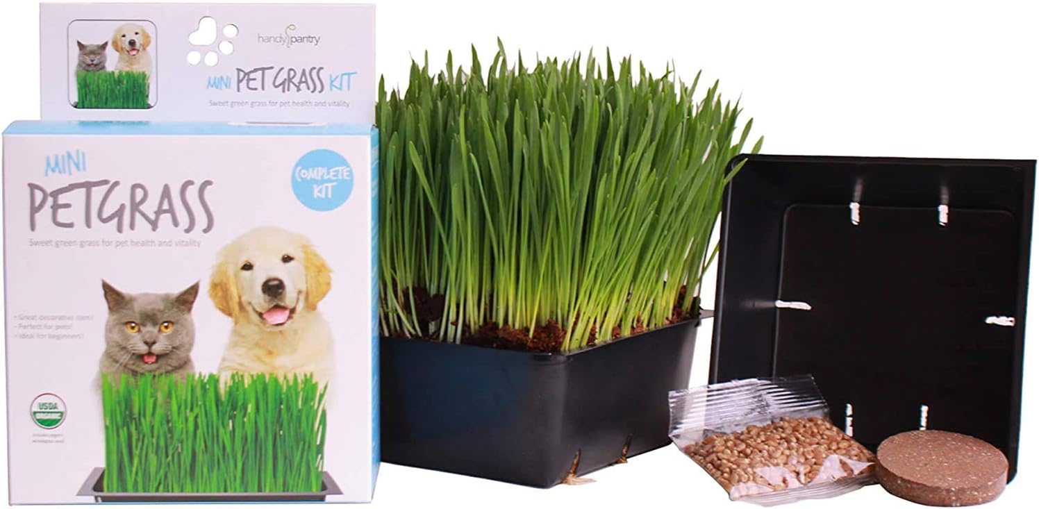 Mini Organic Pet Grass Kit - Grow Wheatgrass for Pets: Dog, Cat, Bird, Rabbit, More - Includes Trays, Soil, Wheat Grass Seeds, Instructions by Wheatgrass Kits