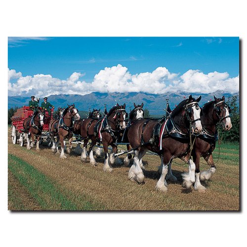 Trademark Art Budweiser Clydesdales in Blue Sky Mountains Canvas Art, 24 by 32-Inch