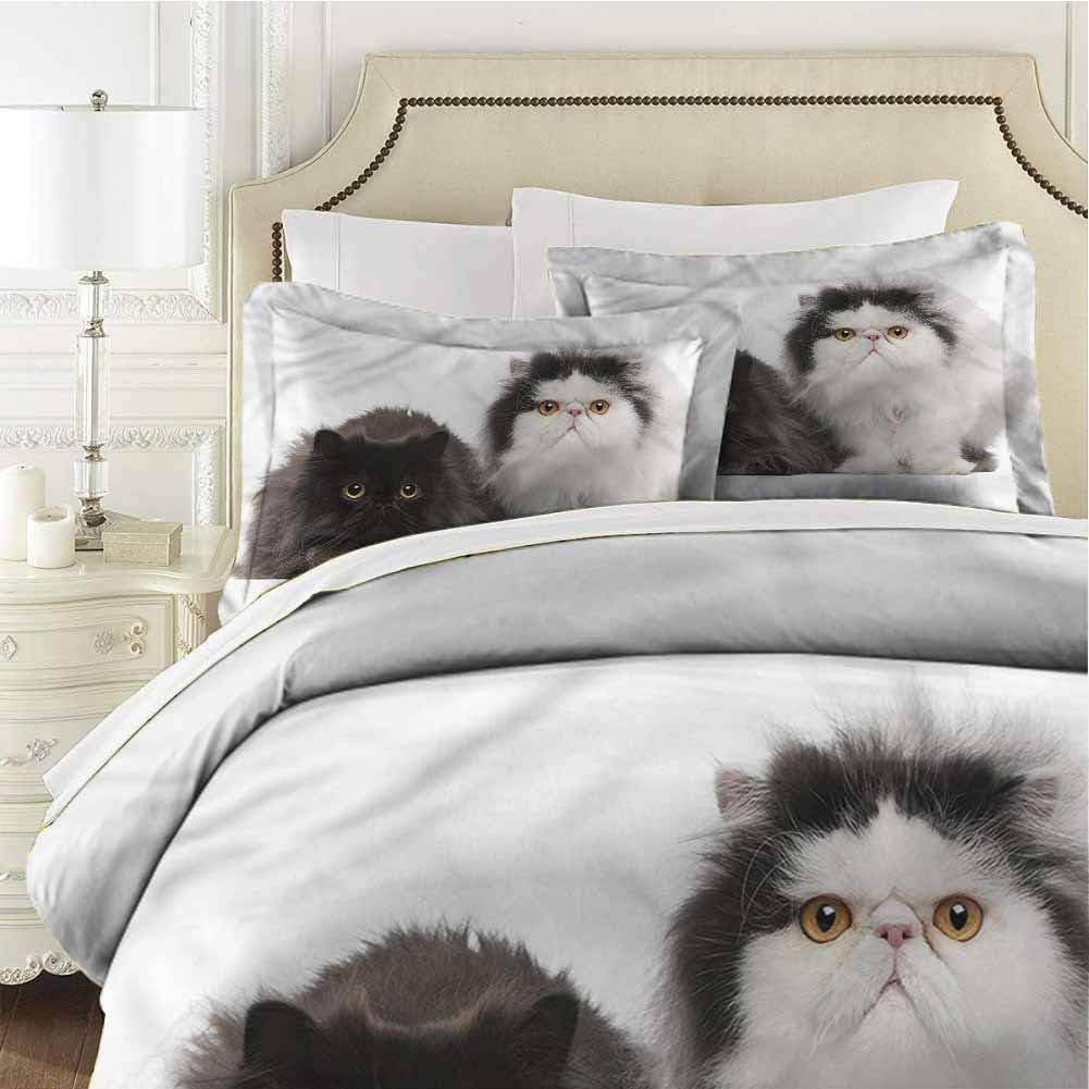 Kitten Bedding Set Full Persian Cat Pair Purebred Twin (68x90 inches) - 3 Pieces (1 Duvet Cover + 2 Pillow Shams) - with Zipper Closure Ultra
