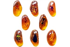 BETENSH 8pcs Amber Fossils with Insects Samples Stones Crystal Samples for Home Decorations Collections Oval Pendants Pendant Science Educational (8 Pcs)