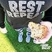 KNOW Foods Gluten Free Protein Bars, Low Carb, Paleo + Keto Friendly - 4 Count