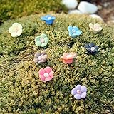 Danmu 10pcs Mini Resin Flowers Miniature House Fairy Garden Micro Landscape Home Garden Decoration Plant Pots Bonsai Craft Decor