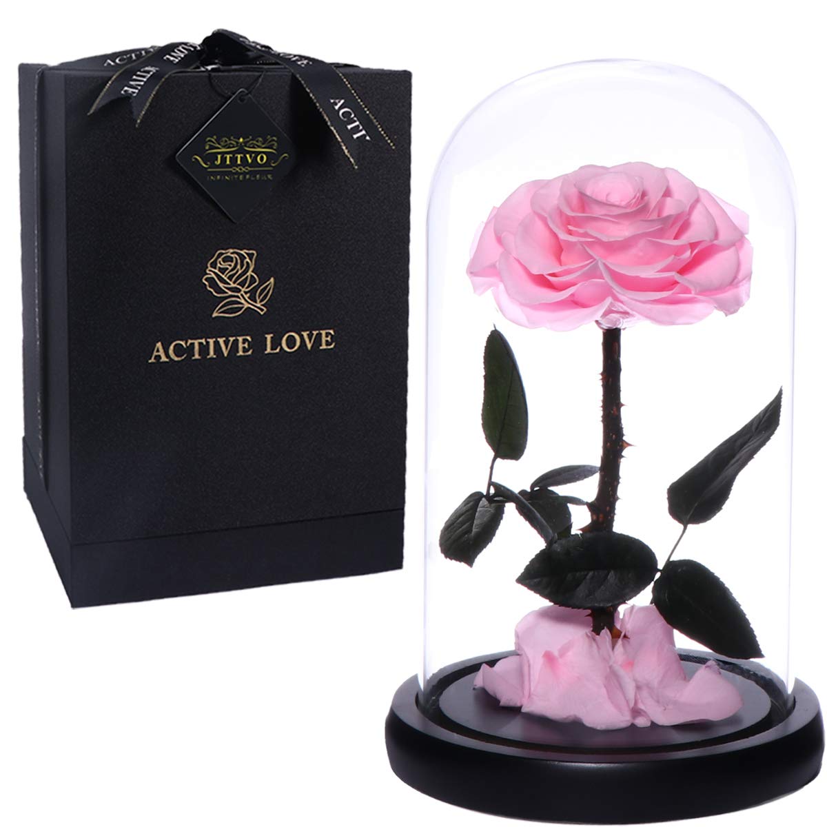 Buy Jttvo Valentines Day Decorations Beauty And The Beast Rose In Glass  Dome Best Gift Idea Enchanted Rose Real Rose Preserved Flower Gift For Her  Wife Girlfriend Women Mother's Day (Pink-9) Online