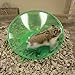 Ware Manufacturing Flying Saucer Exercise Wheel for Small Pets, 5-Inch - Colors May Vary