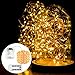 Prefer Green 2 Pack Battery Operated Fairy String Lights 33ft 100 LED 8 Modes Decorative Lights with Remote Control for Outdoor Indoor Bedroom Garden Wedding Christmas Decor (Warm White)