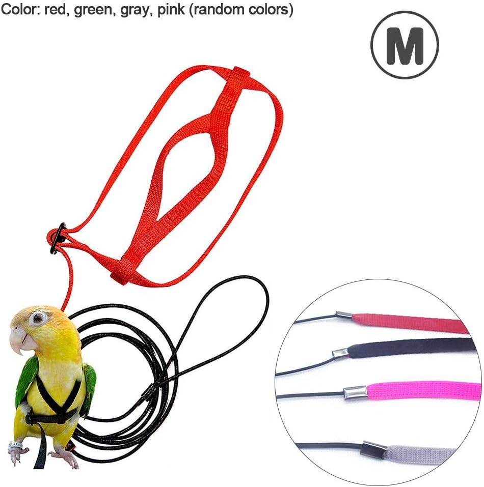 Ritapreaty Adjustable Bird Harness and Leash, Flying Anti-bite Traction Rope bird Training Outdoor Carrying for Psittacus Scarlet Macaw Parrots Birds